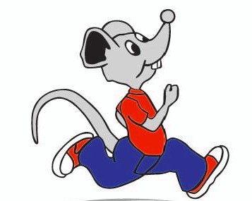 51e Halve Marathon en Joggings Nijlen