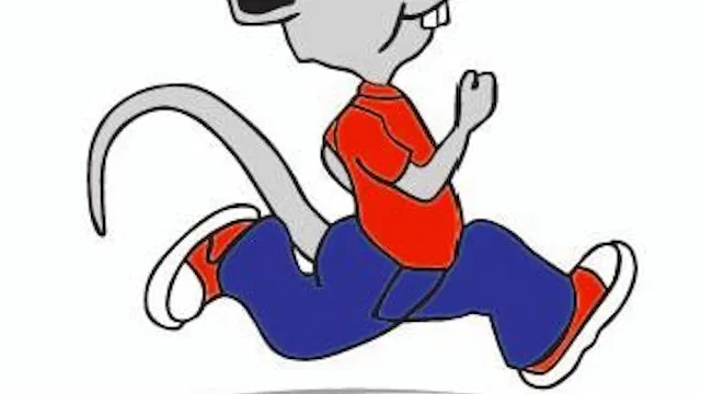 51e Halve Marathon en Joggings Nijlen