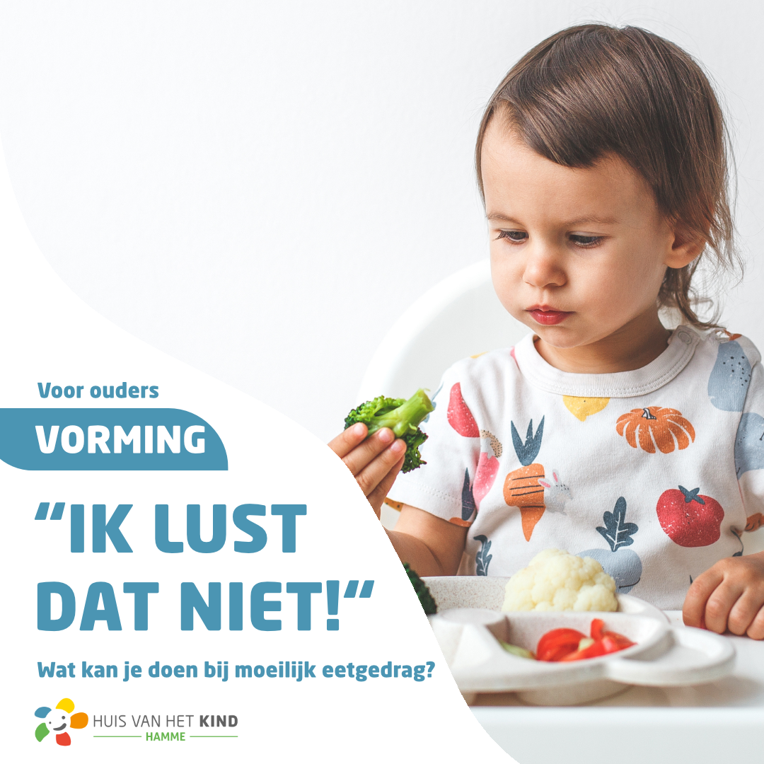 Vorming 'Ik lust dat niet'
