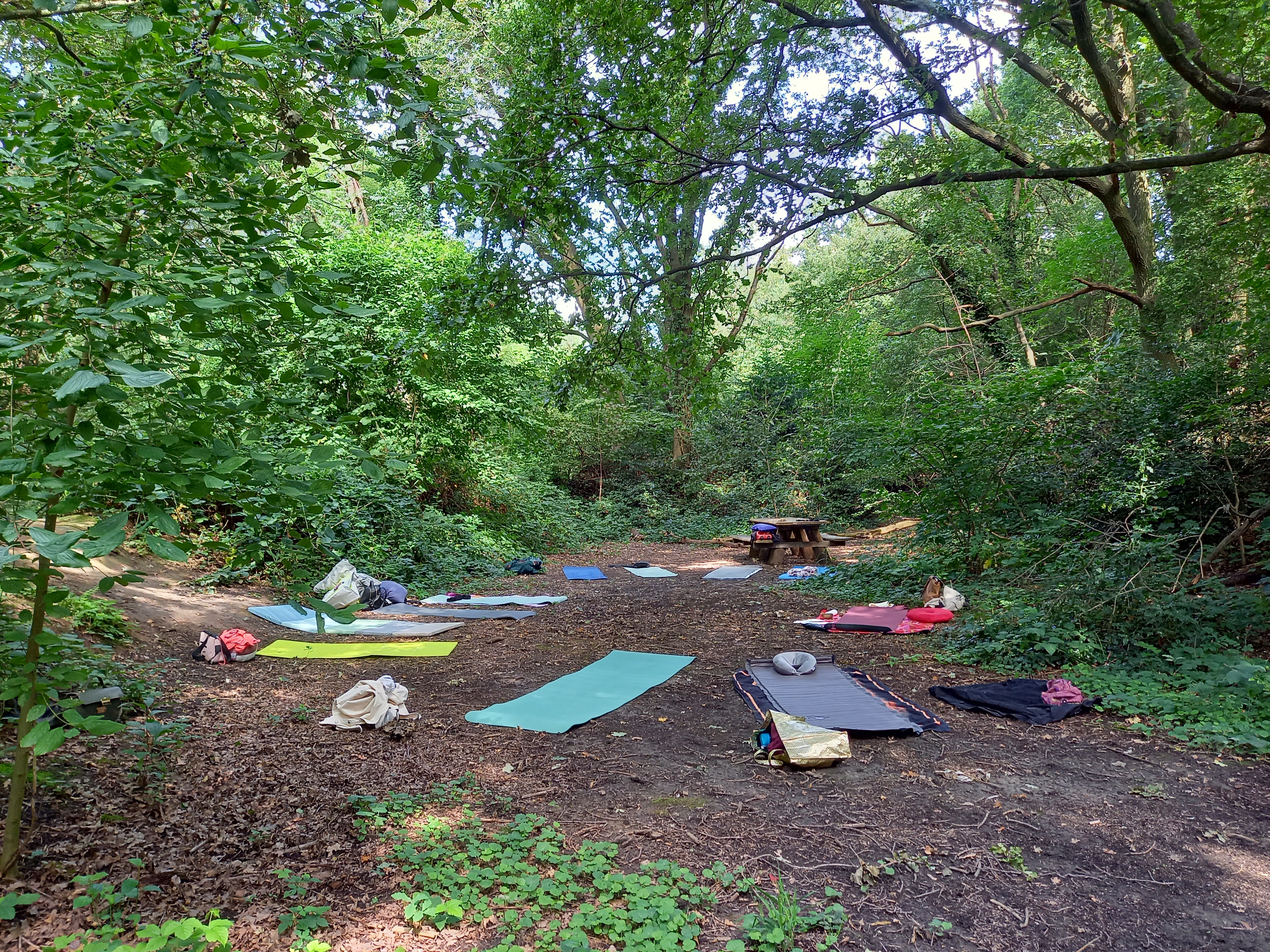 yogamatjes in het bos