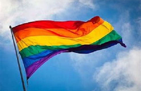 Regenboogvlag