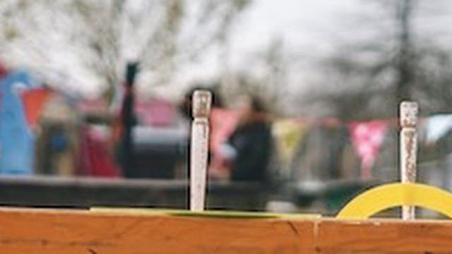 Dummies/ Durvers Multicircus Oostende