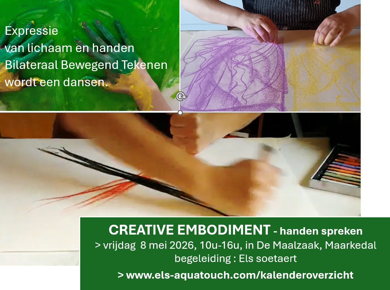 Bilateraal Bewegend Tekenen