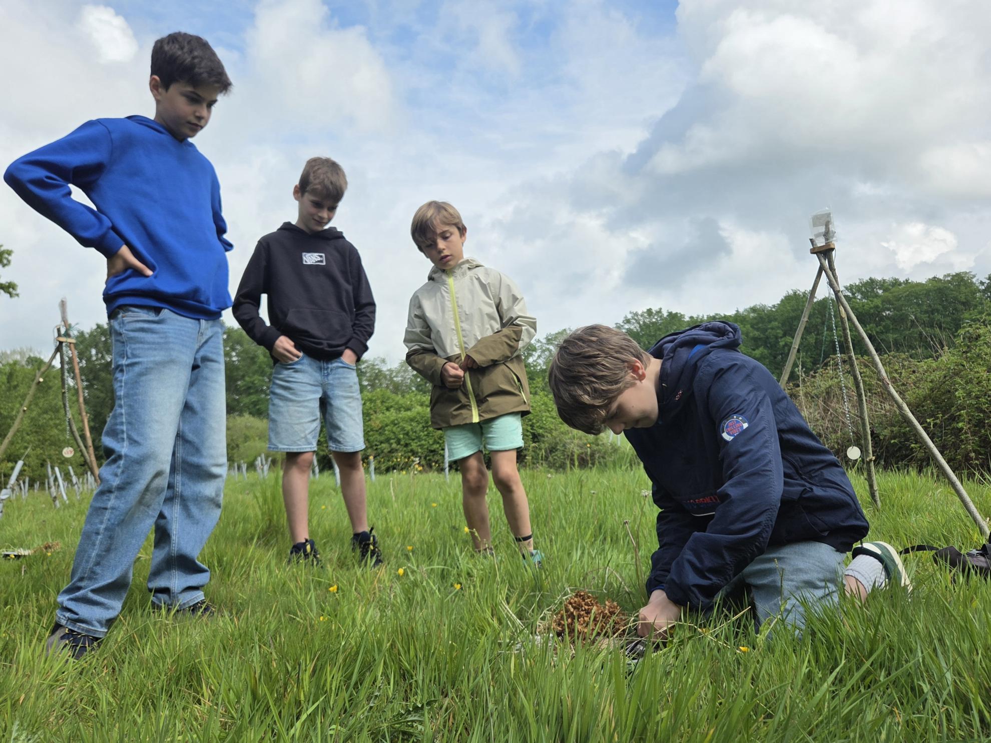 Natuurexploratie in de natuurreservaten rondom Ronse in Ronse ...