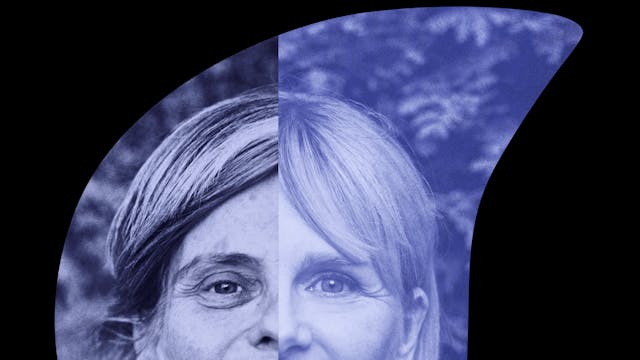 Ode aan de verwondering - An Miller/Dimitri Leue/Koen Vanmechelen