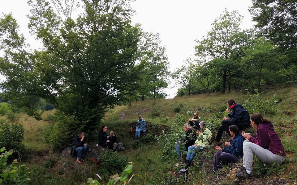 Shinrin-yoku: therapie in het bos