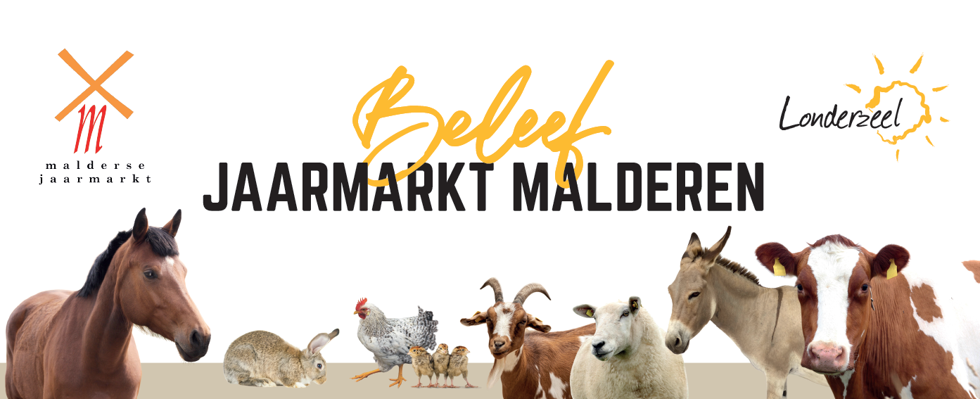 Jaarmarktbanner Malderen