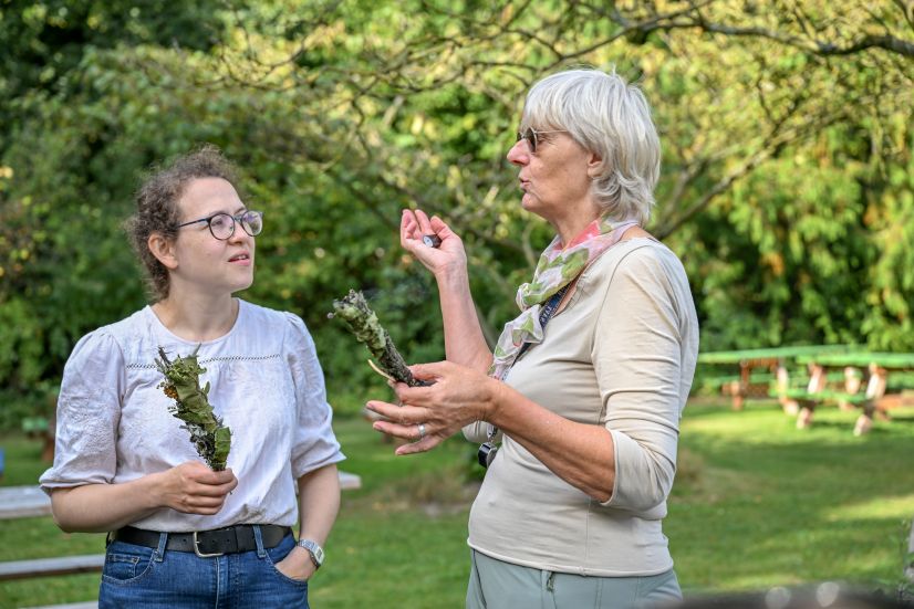 Kruidenworkshop - een kruidenspiraal aanleggen klein.jpg