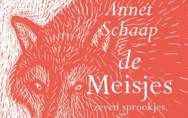 Cover boek De Meisjes