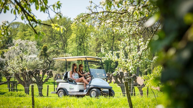 Cruisen met een groen wagentje tussen de bloesems