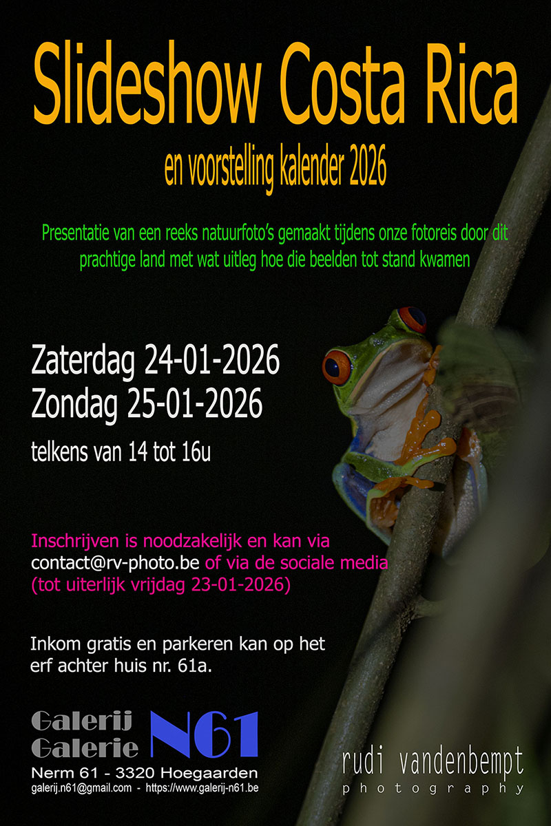 Fotopresentatie fauna & flora Costa Rica