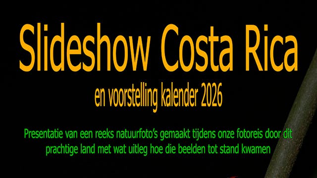 Fotopresentatie fauna & flora Costa Rica