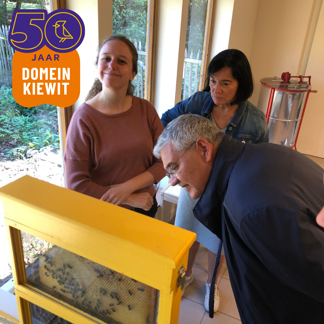 Bijenhal doorkijkkast Domein Kiewit