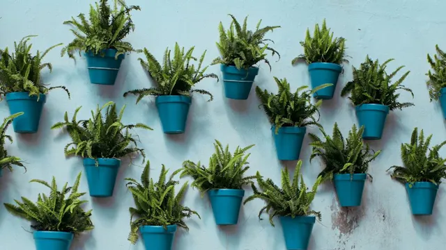 Workshop planten vermeerderen