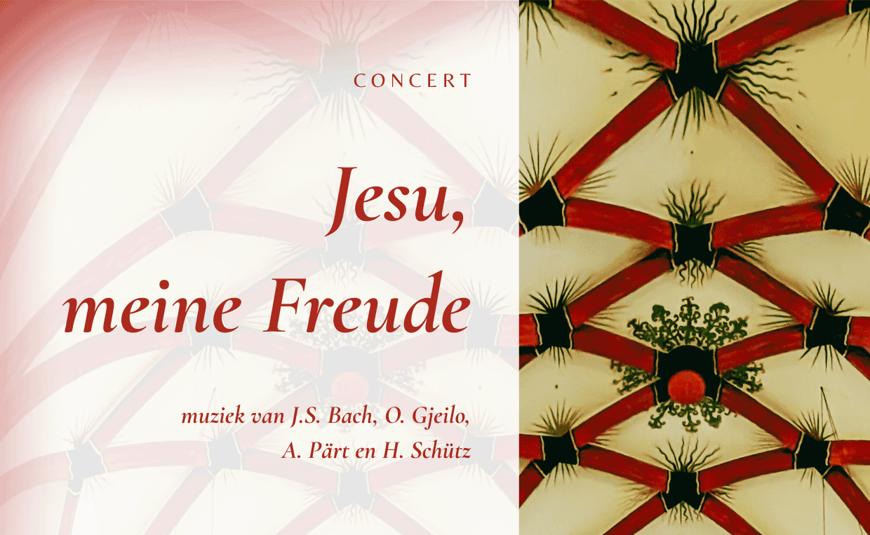 JMF - uit in vlaanderen