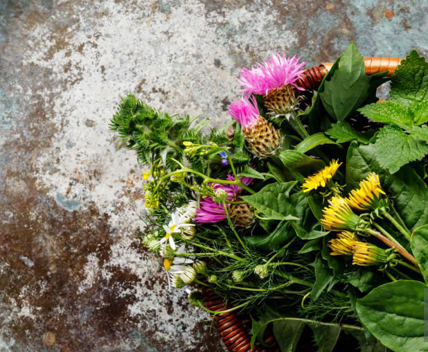 260425 Koken met wilde kruiden.jpg