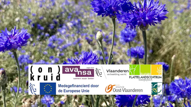 (On)kruidfestival voor de biodiversiteit