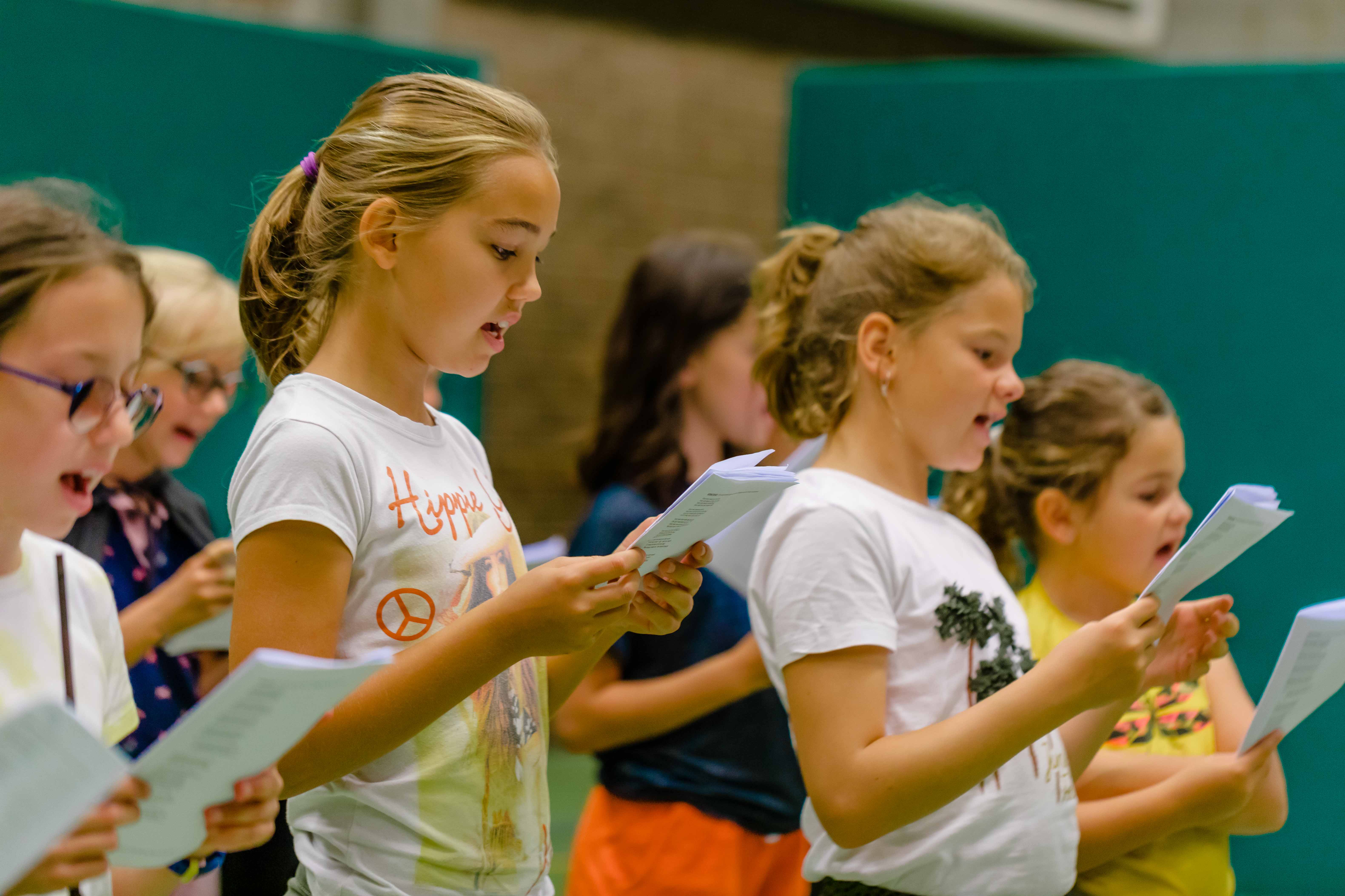 Zang: Shine Like A Star