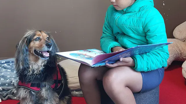 Een meisje in een turquoise jas leest een boek voor aan een hond met een rood harnas, die aandachtig luistert. Ze zitten binnen op een rode vloer, met een bruine muur op de achtergrond.