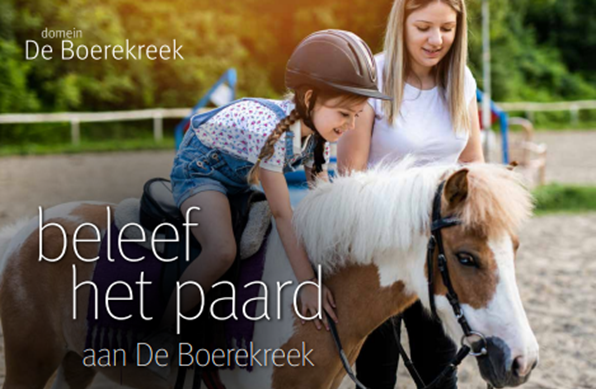 Beleef het paard aan de kreek