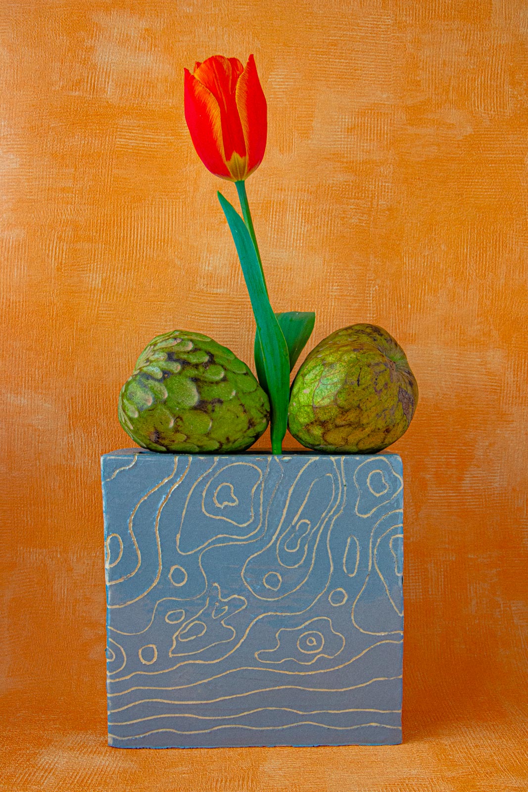 Fototentoonstelling met als thema "Flowers in studio"