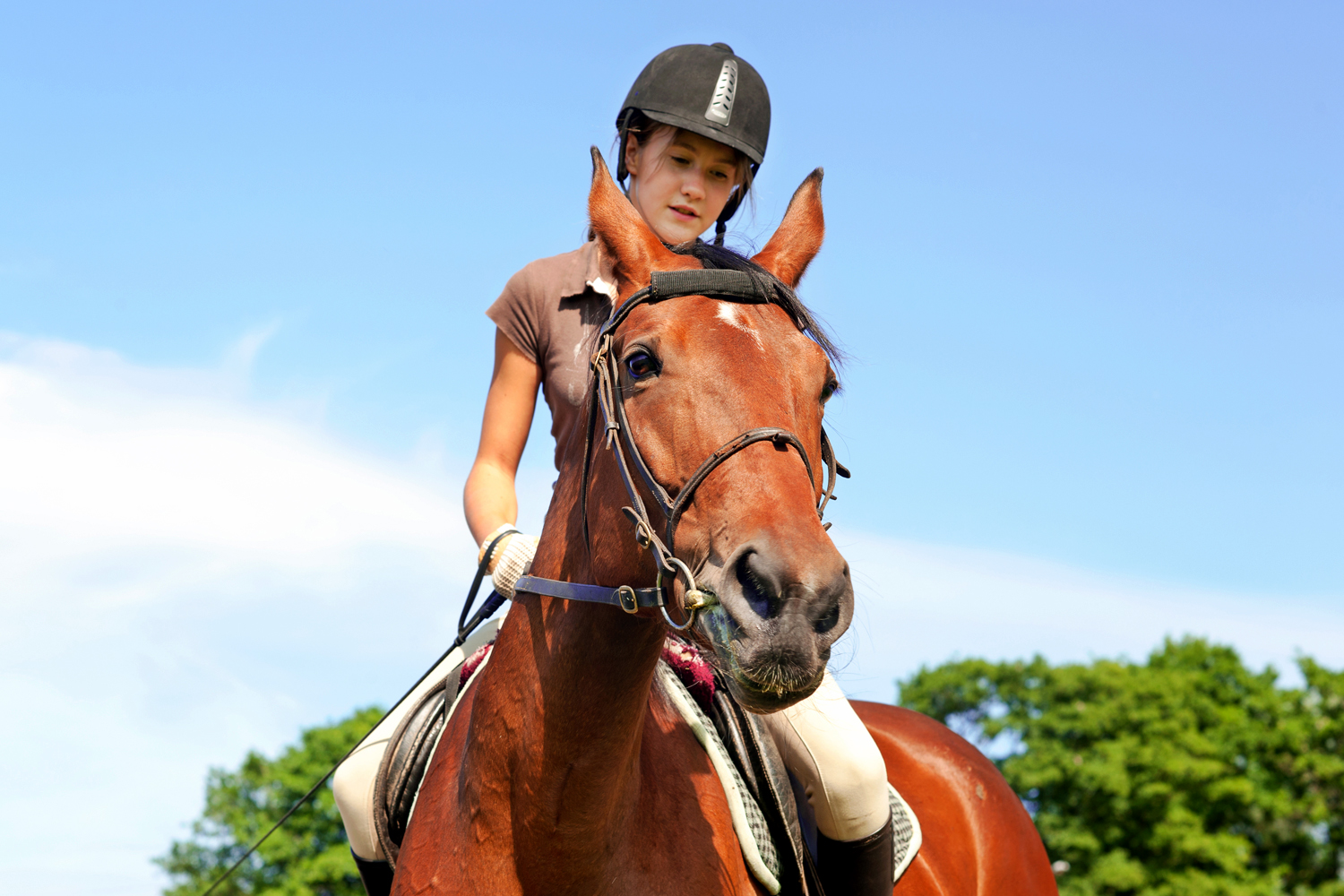paardrijden Buggenhouta