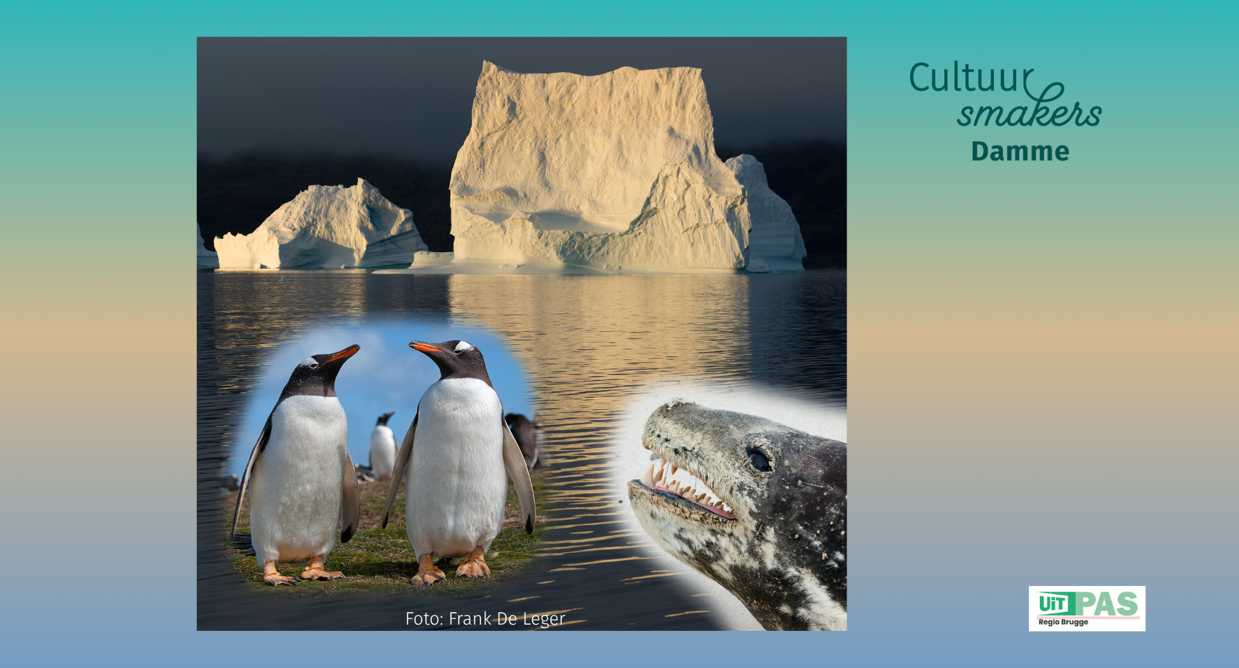 Beeldreportage: Falklands en Groenland