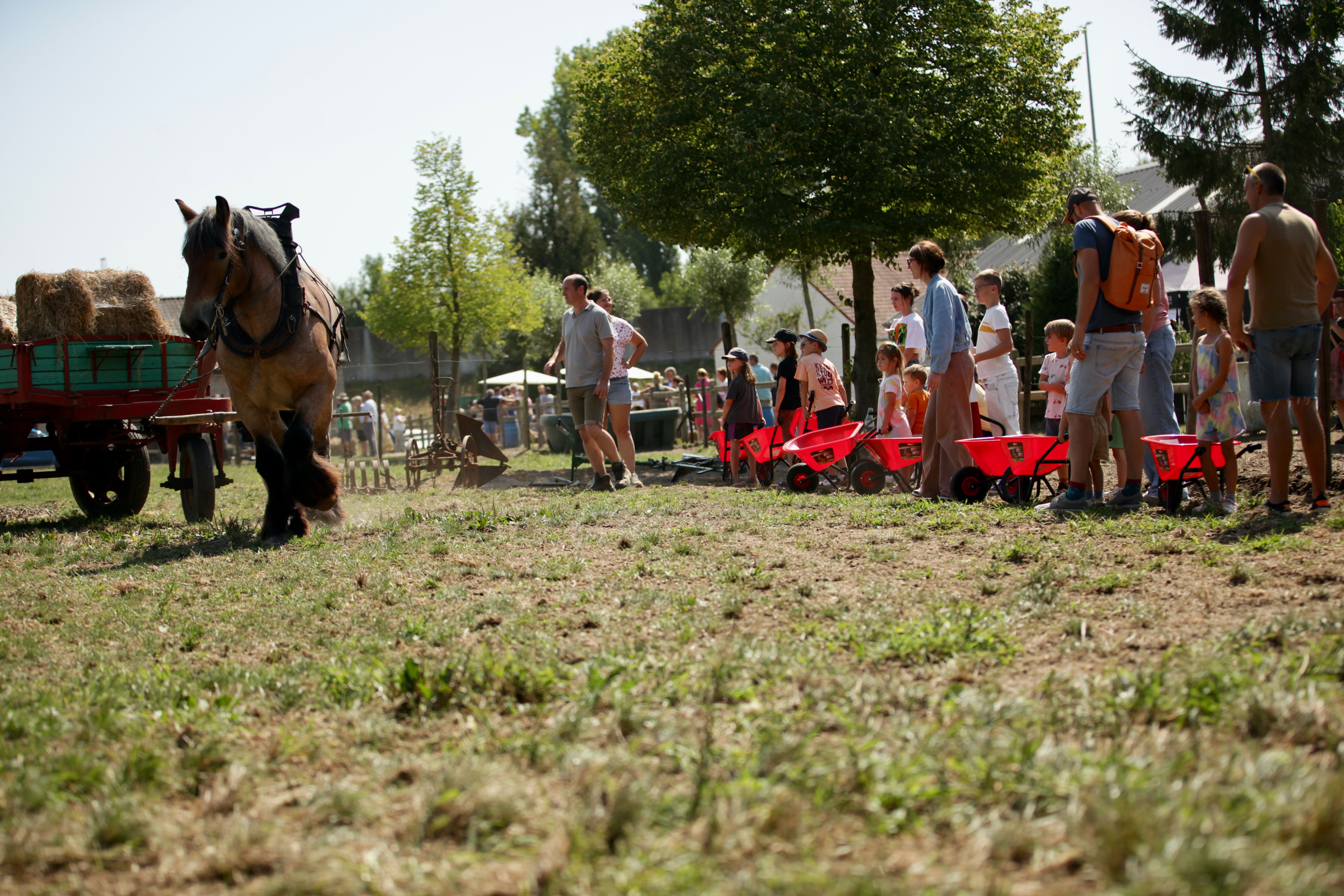 Voedersessie voor de kindjes