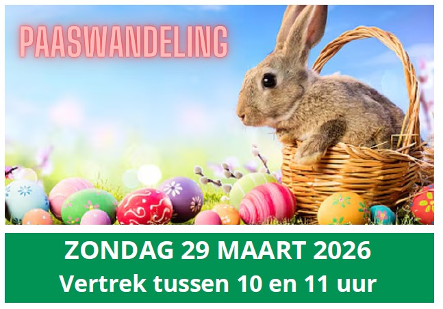 Image for gzbd activity