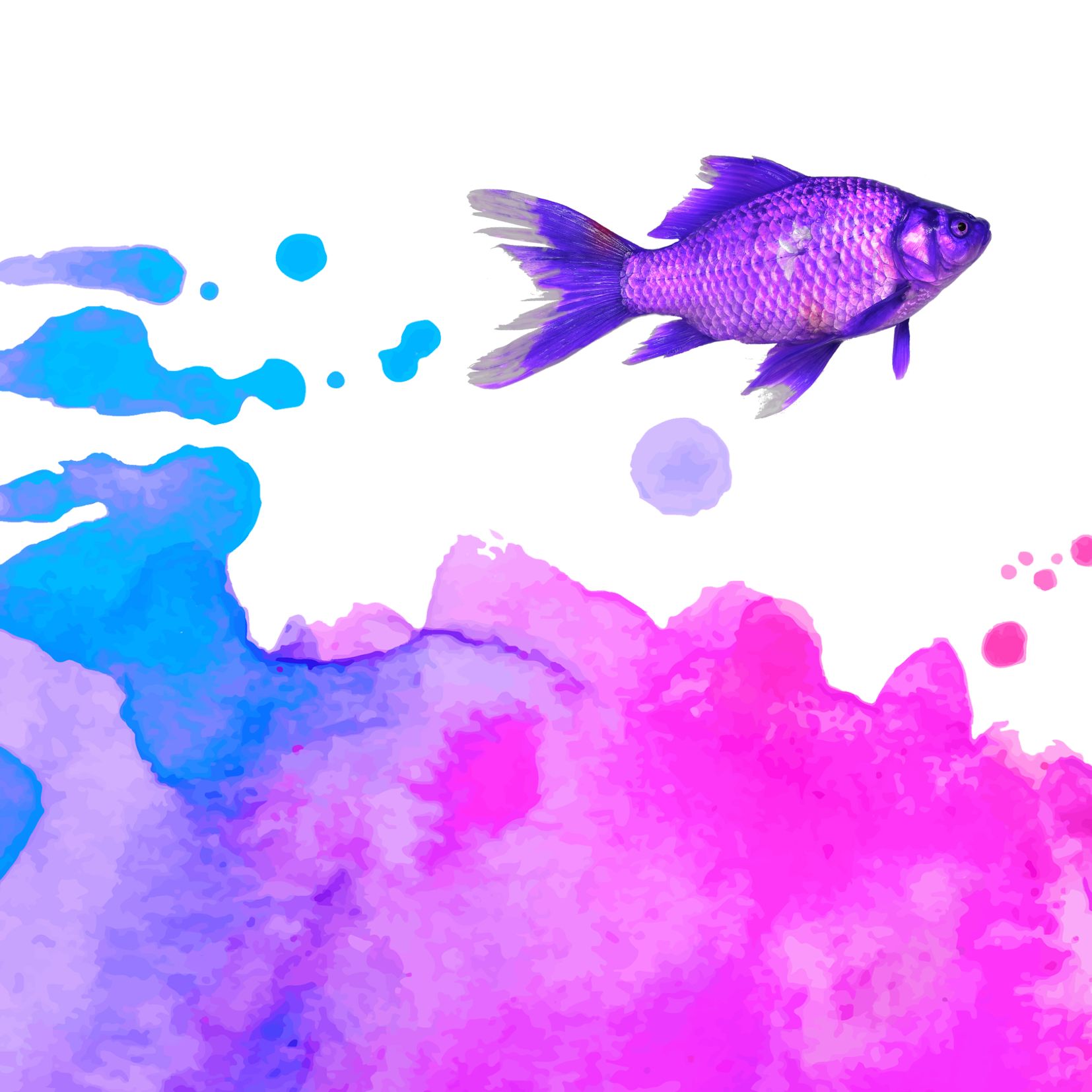 Color mania