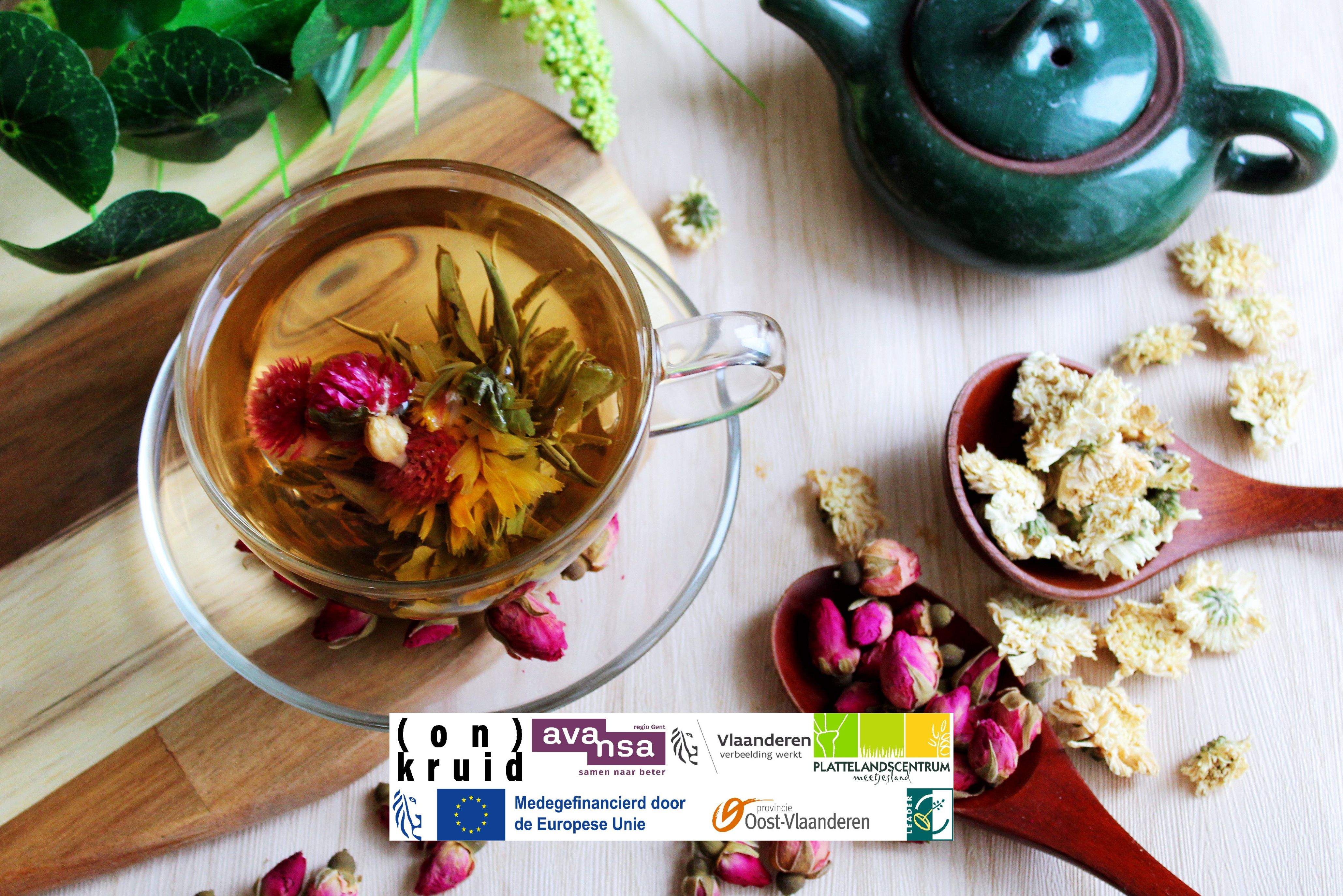 Breng meer kruidenthee in je leven!