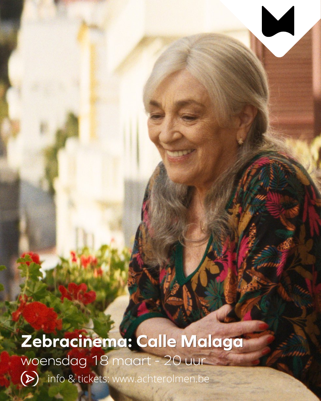 Zebracinema: Calle Malaga