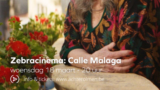 Zebracinema: Calle Malaga