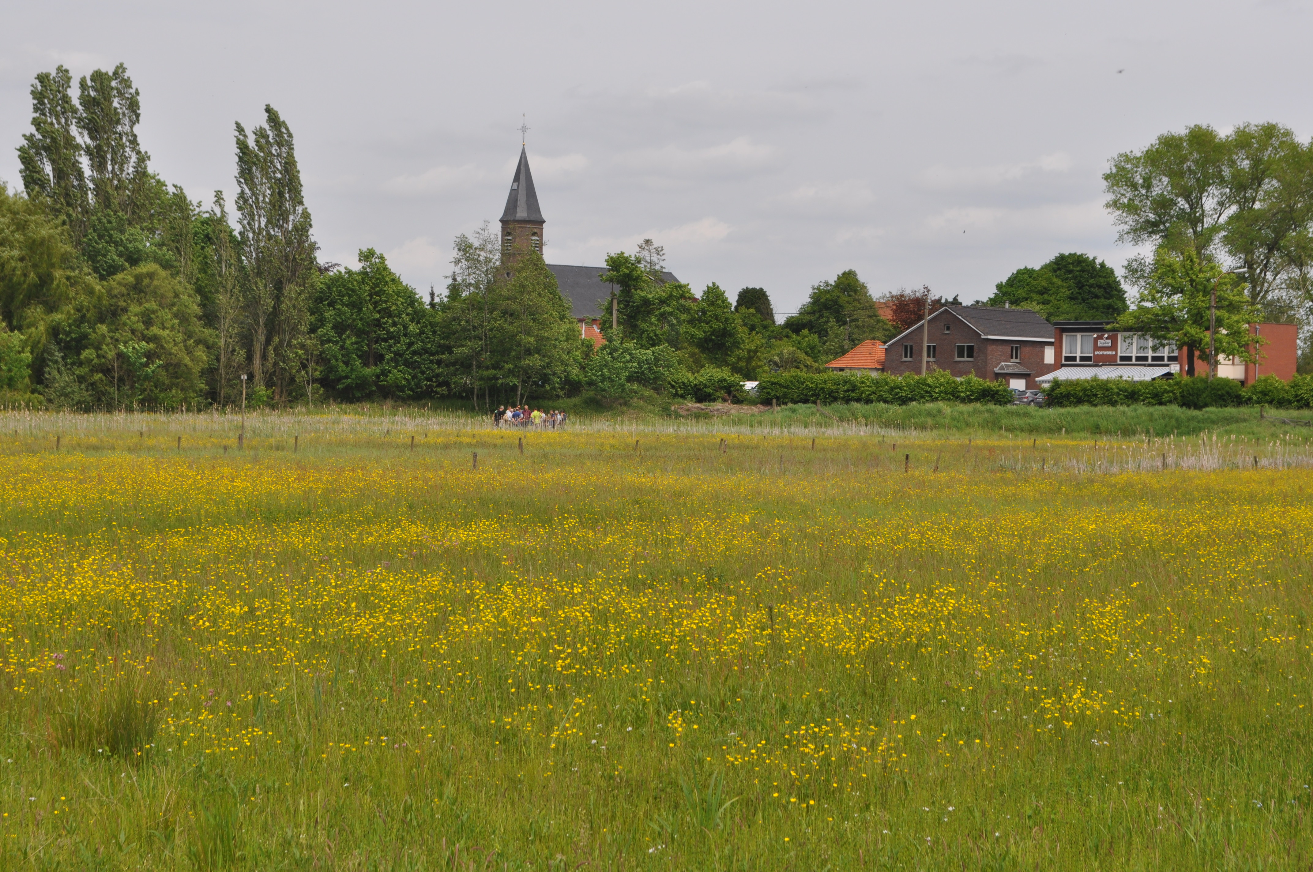 Natuurgebied "Vallei van de Zeverenbeek"