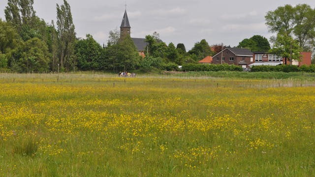 Natuurgebied "Vallei van de Zeverenbeek"