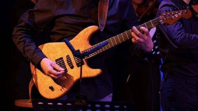 Peter Hertmans String Septet