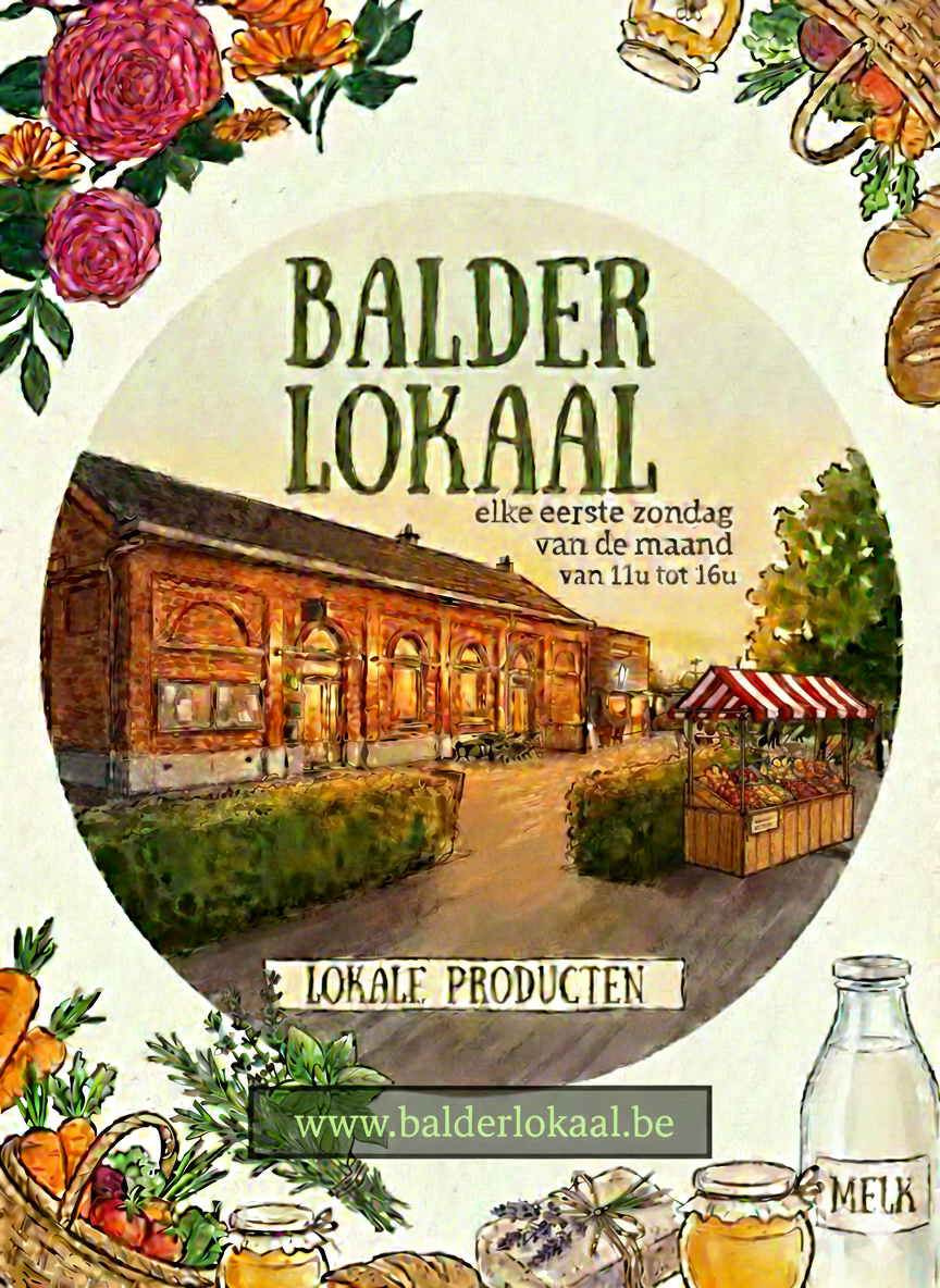 www.balderlokaal.be