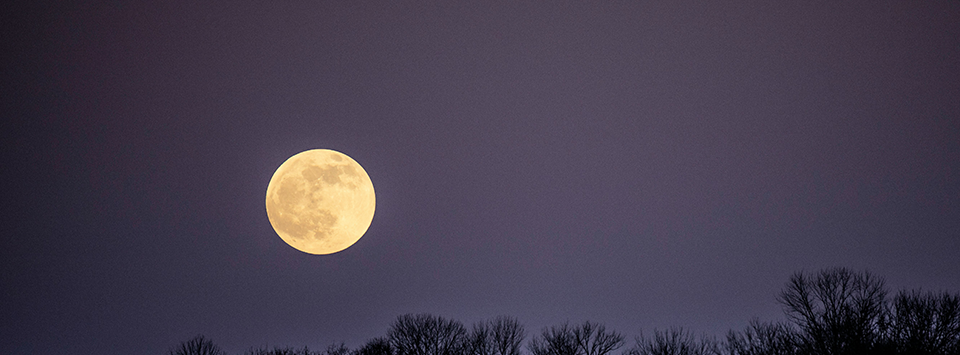 Volle maan