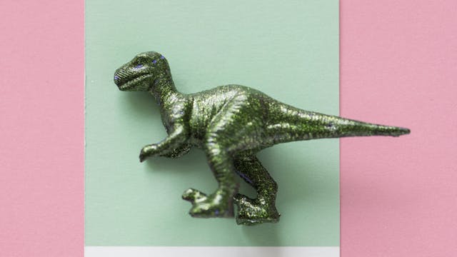 Duik in de dinowereld