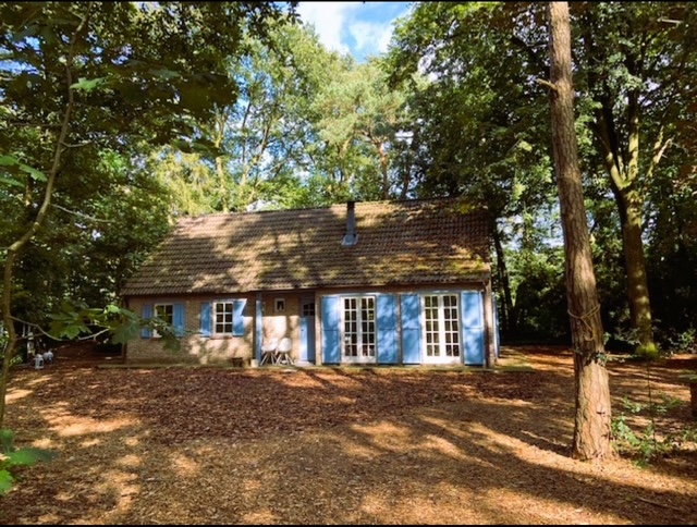 hypnose traject TAO Natuurhuis Grobbendonk