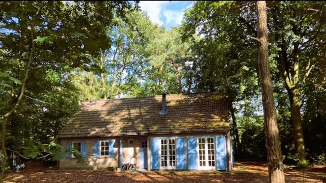 hypnose traject TAO Natuurhuis Grobbendonk