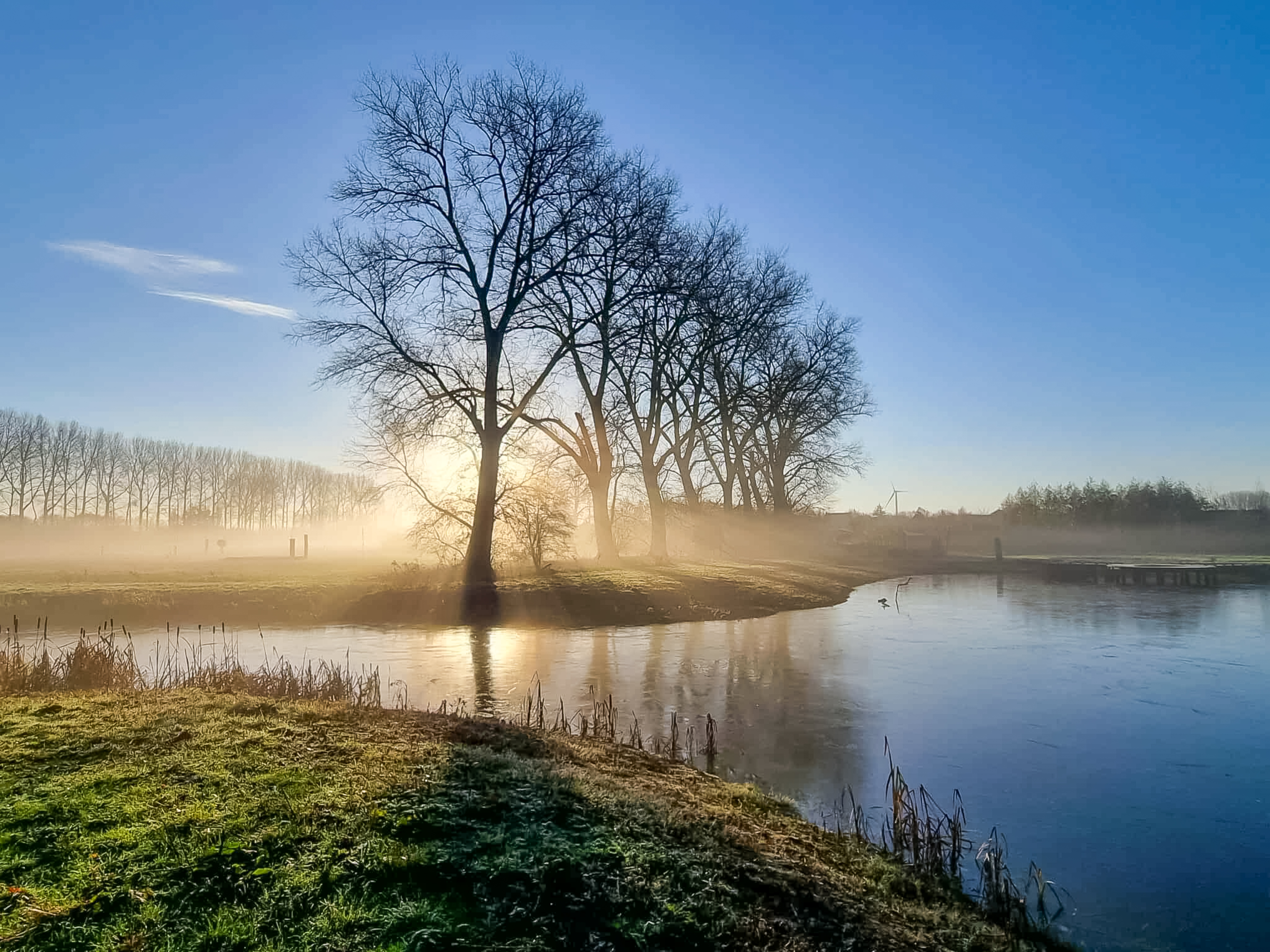 De Gavers in Harelbeke 