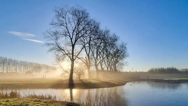 De Gavers in Harelbeke