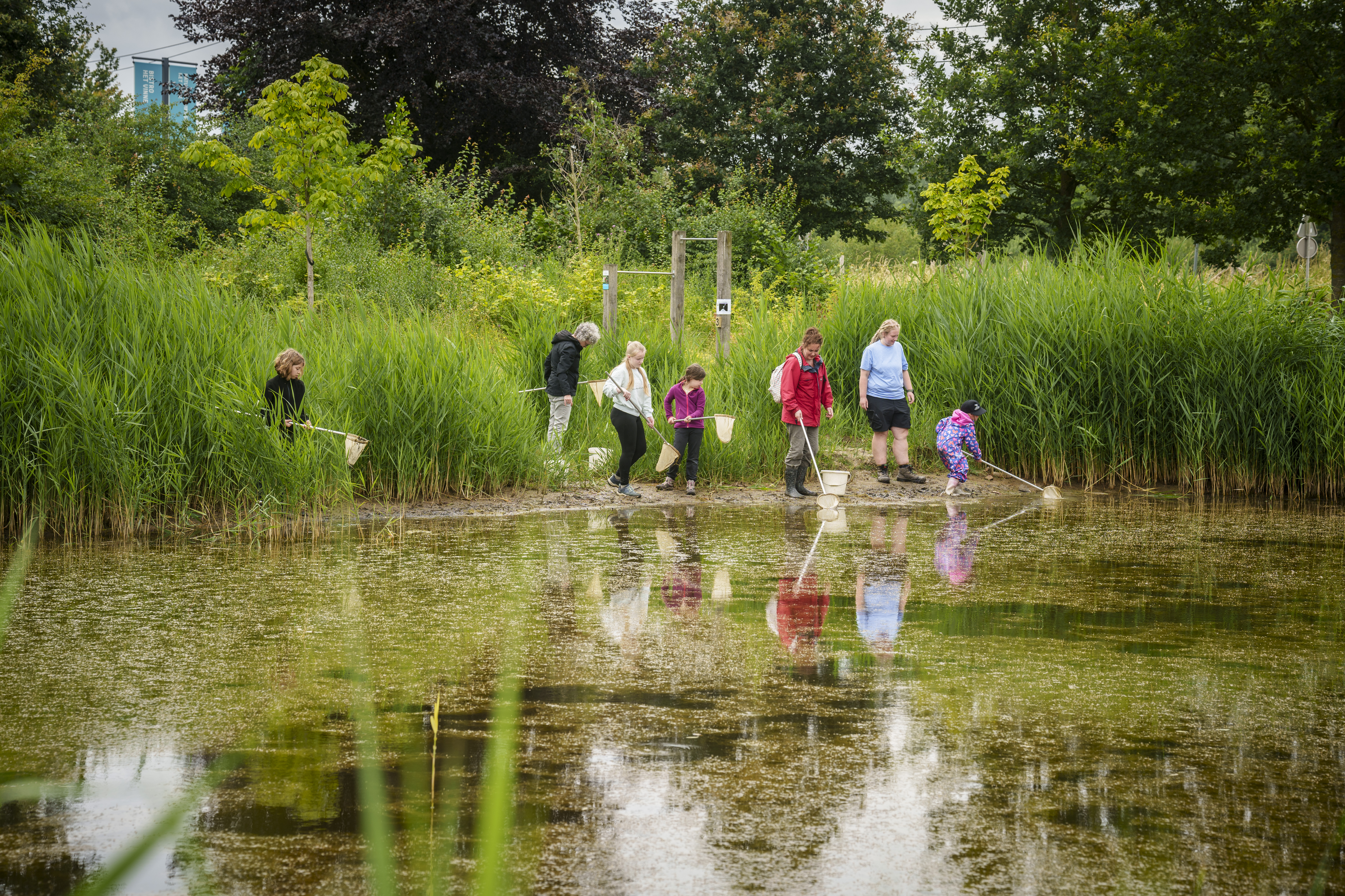 Waterdiertjes scheppen
