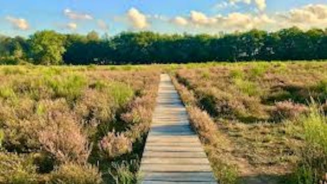 Telkens samenkomst en vertrek vanuit Muizen-Dorp.