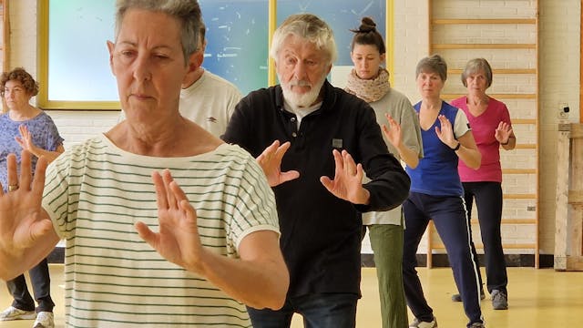 Zomer 2025 - Inner Motion - Tai-chi Hove