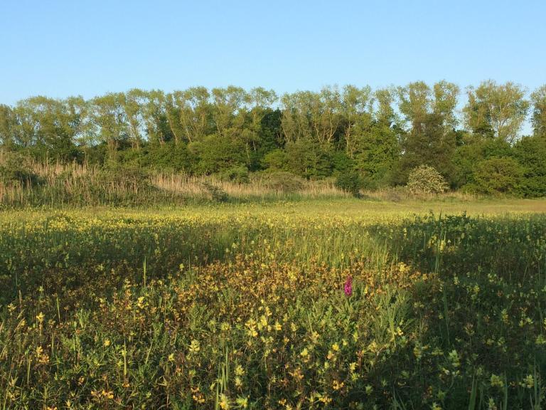 Natuurpunt