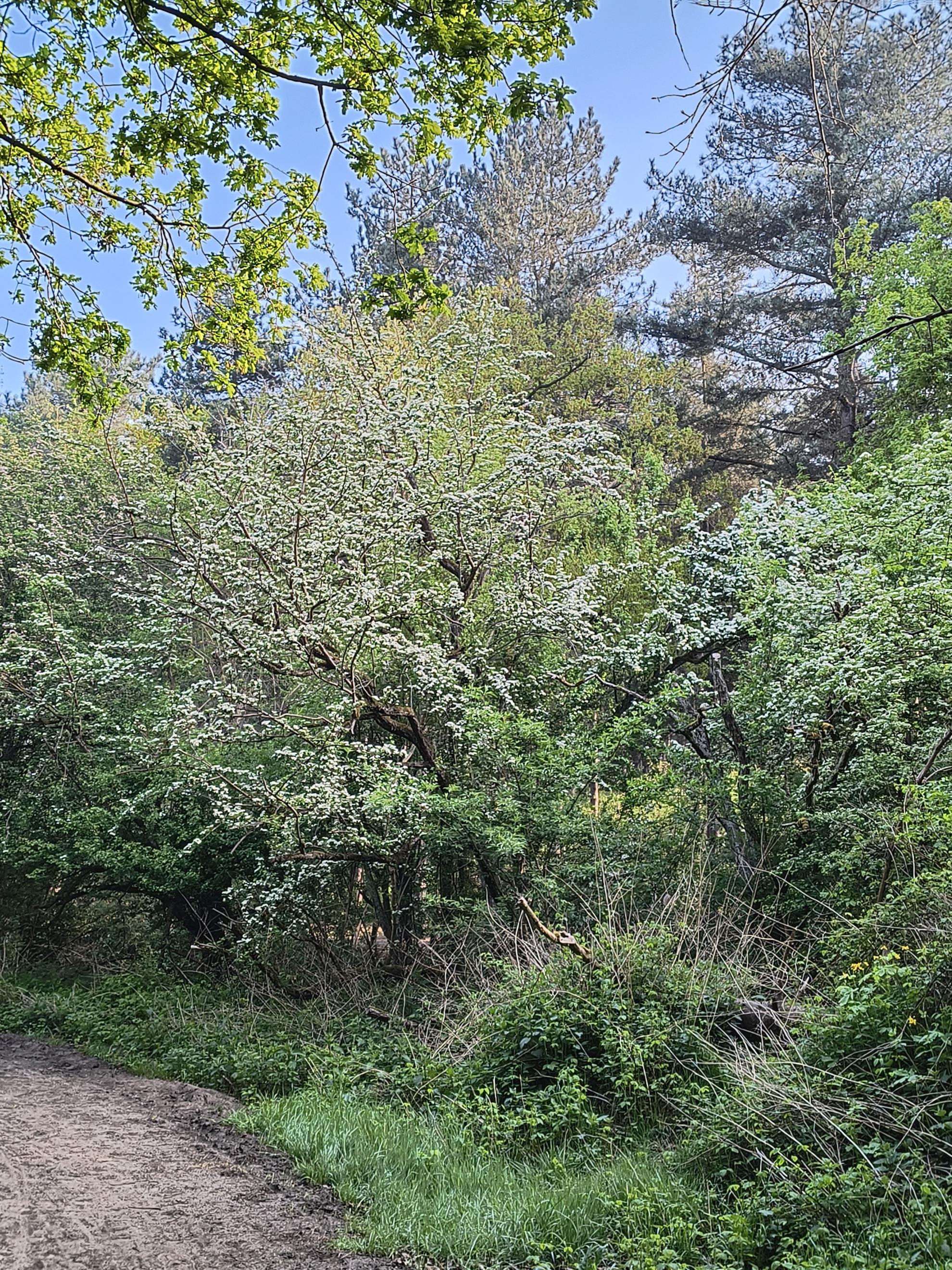 Natuurpunt