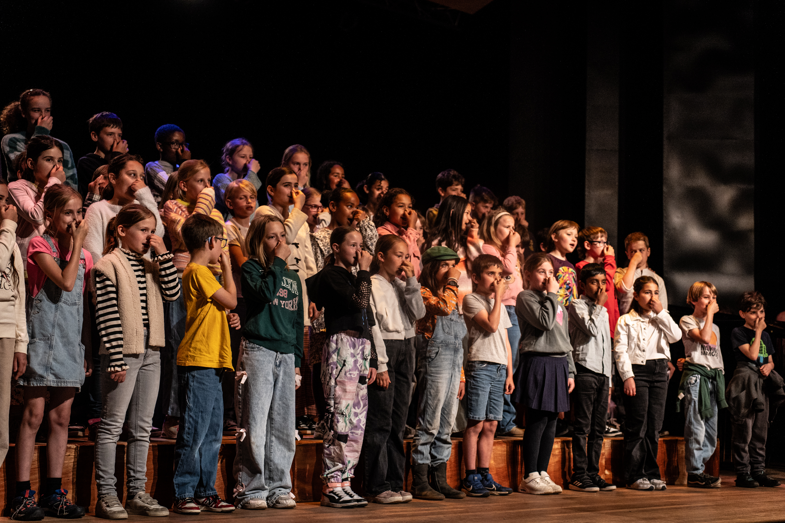 AcademieFestival Ekeren