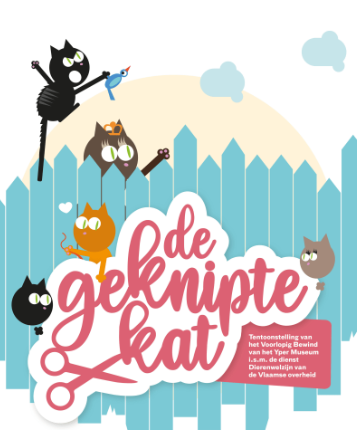 Gratis infosessie 'Hoe geef je je kat een gezond en gelukkig leven' in